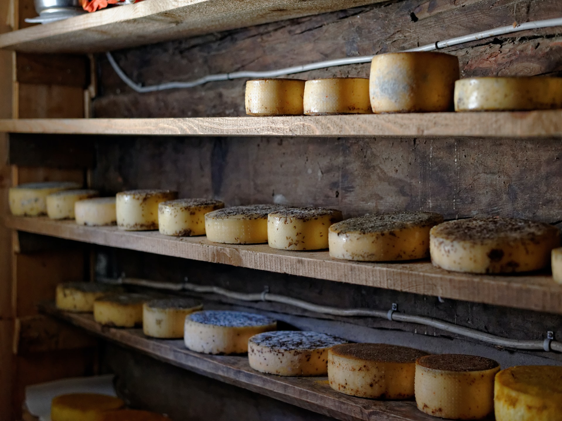 Maturing cheese at the Alpage des Lachiores, Val d'Hérens.